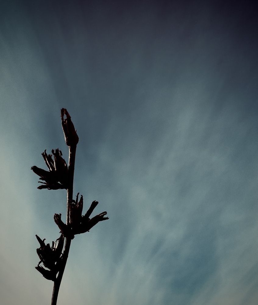Photograph by Елена