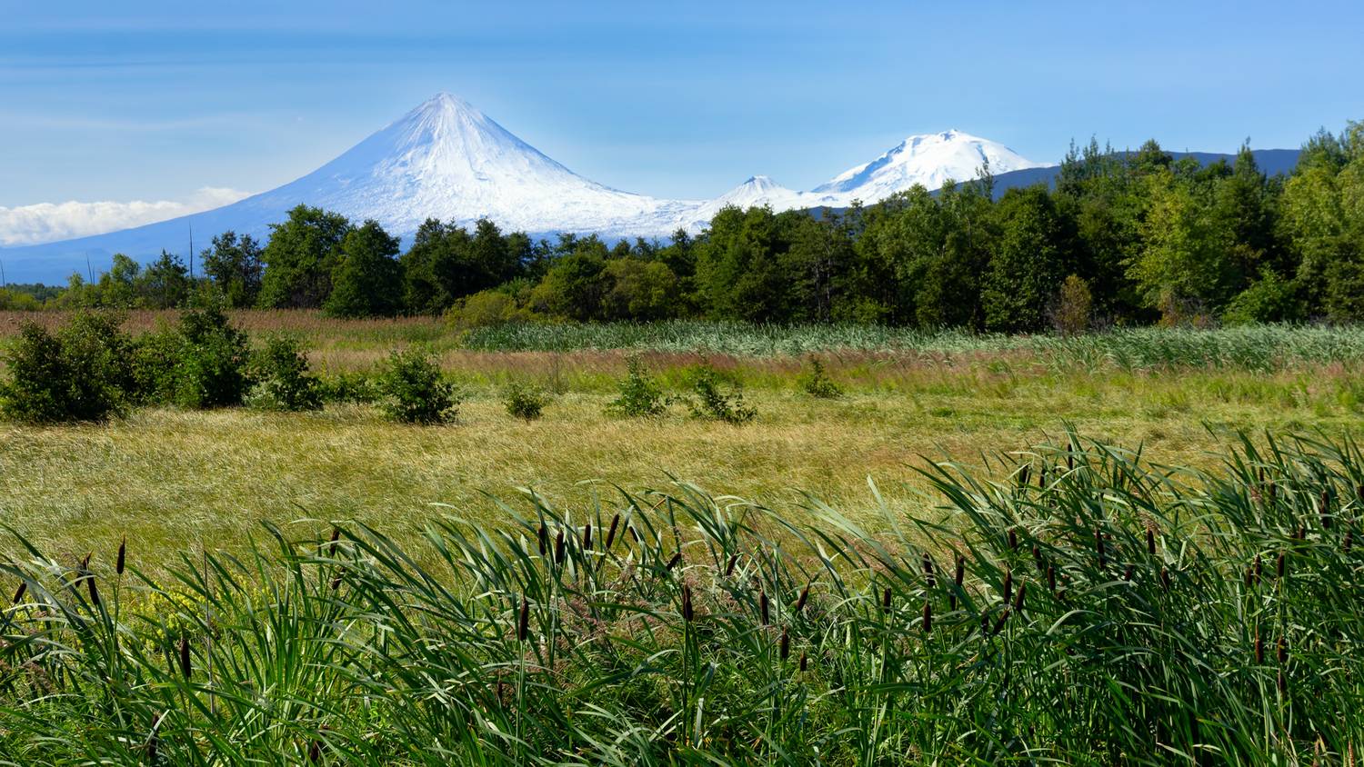 Шумел камыш.