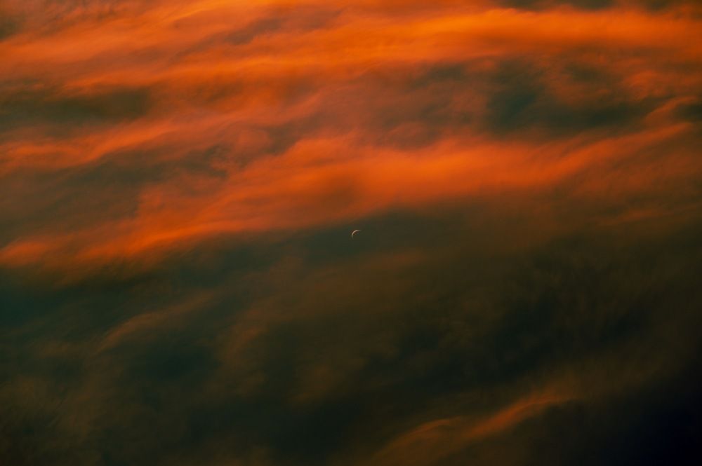 The upside down world.