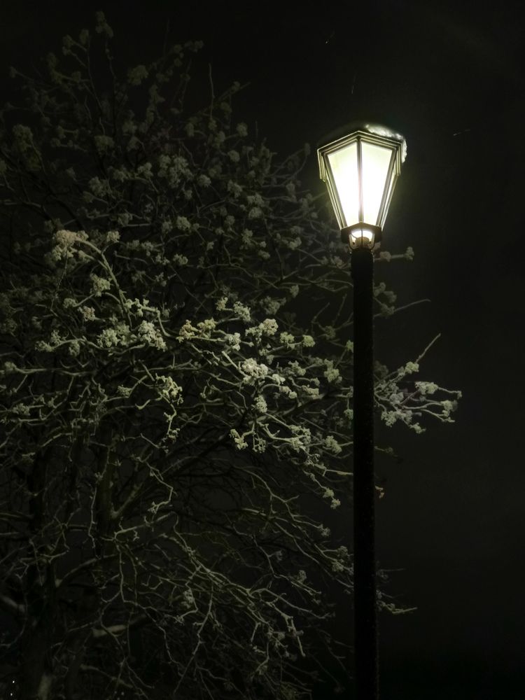 Photograph by Анна Князева