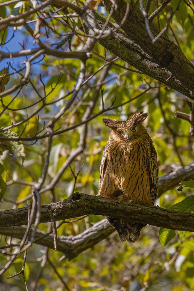 Photograph by SOUVIK KUNDU