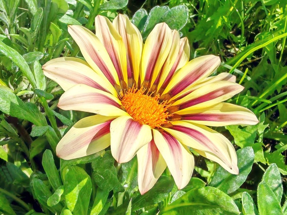 Photograph by Зыбин Владимир