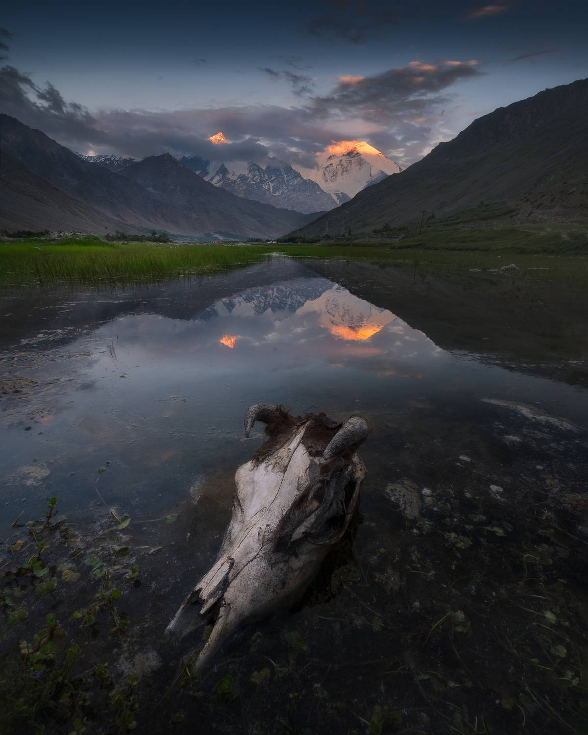 Death the Ultimate Truth Death the Ultimate Truth