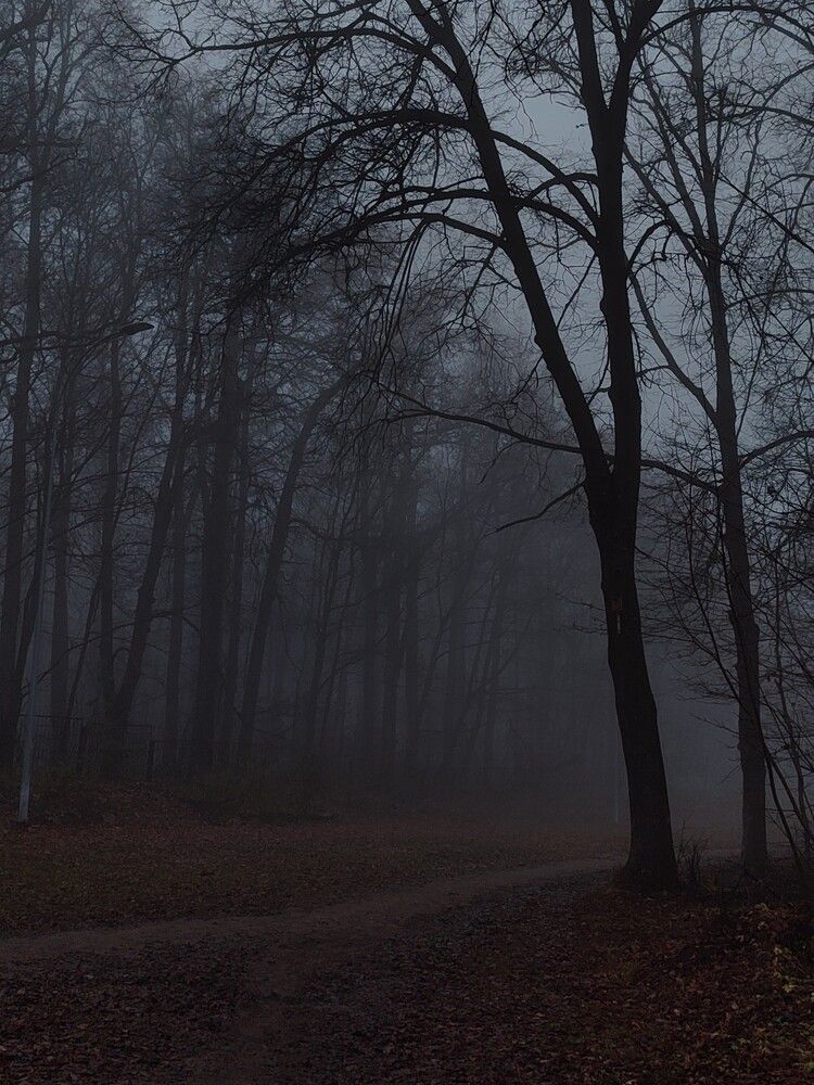 Photo #13333084