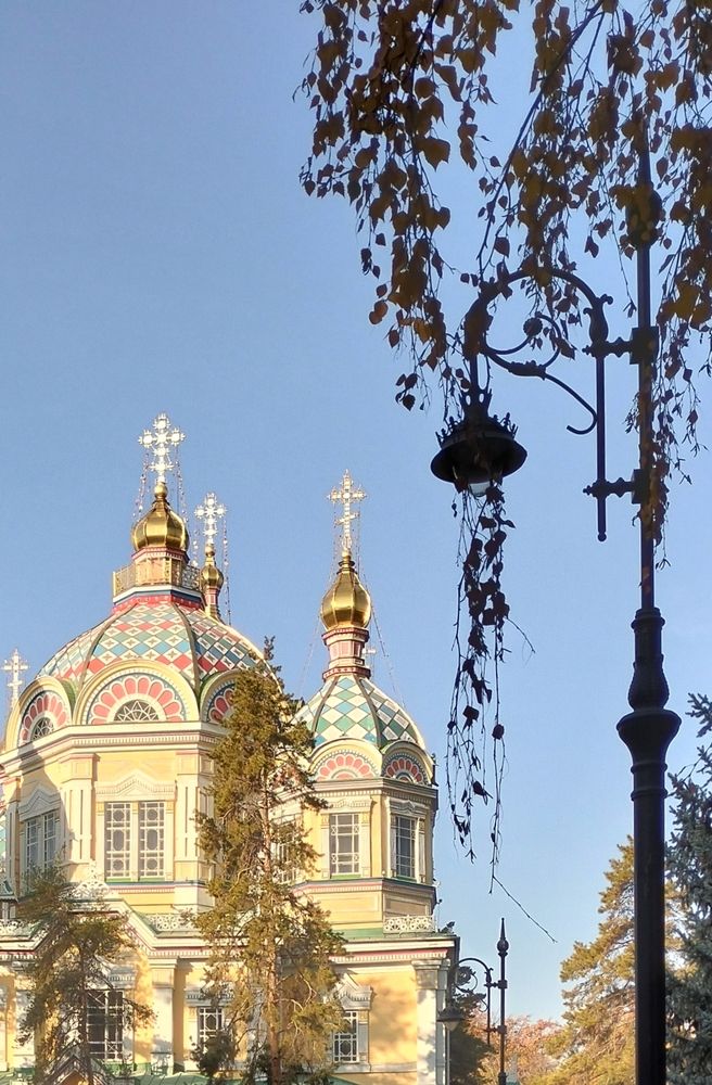 Photo #13333141
