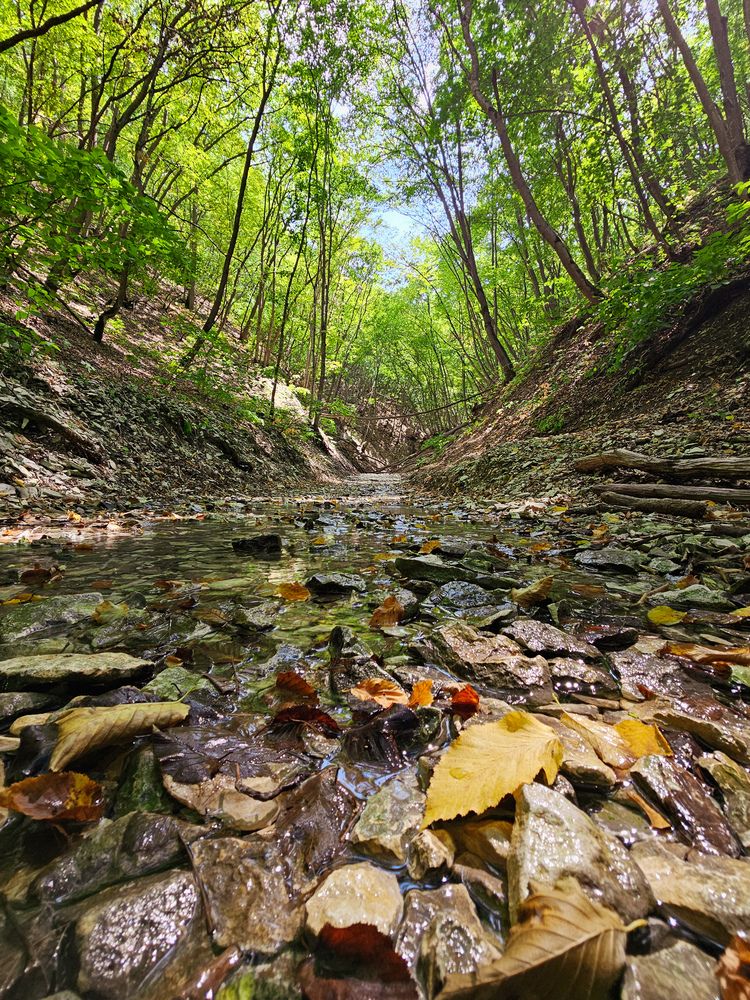 Photograph by Аня Белозерова