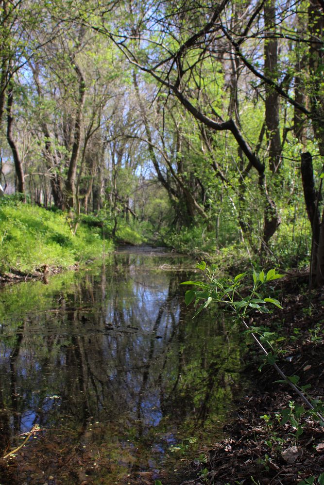 Photograph by Аня Белозерова