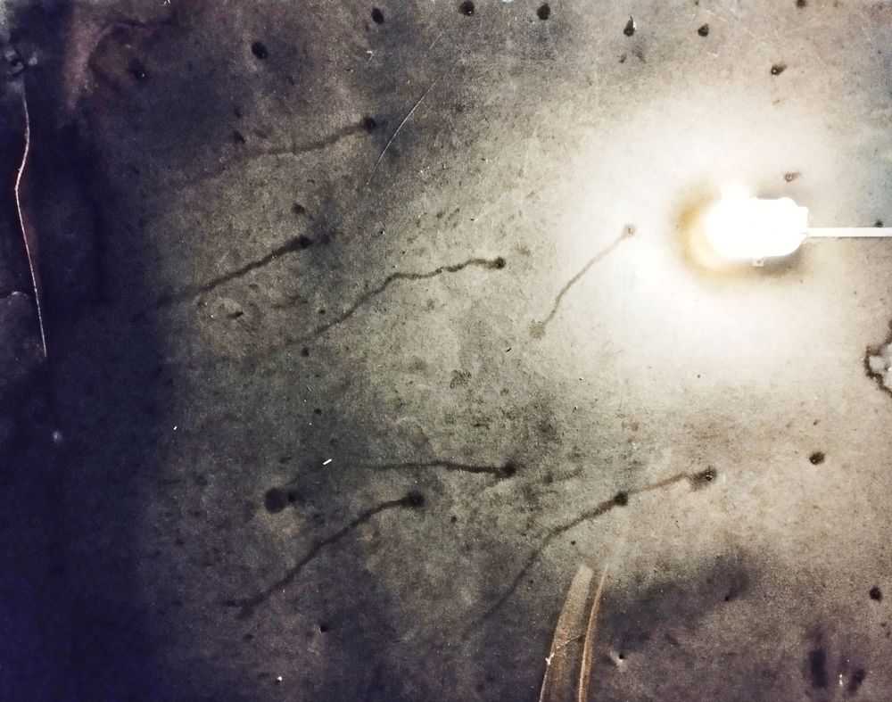 Photograph by Елена Белых
