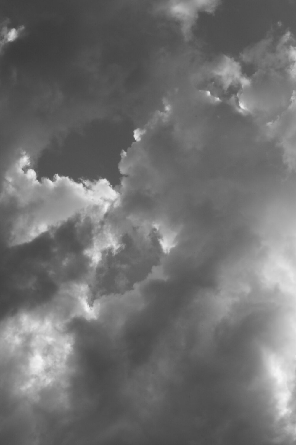 Photo #13333230