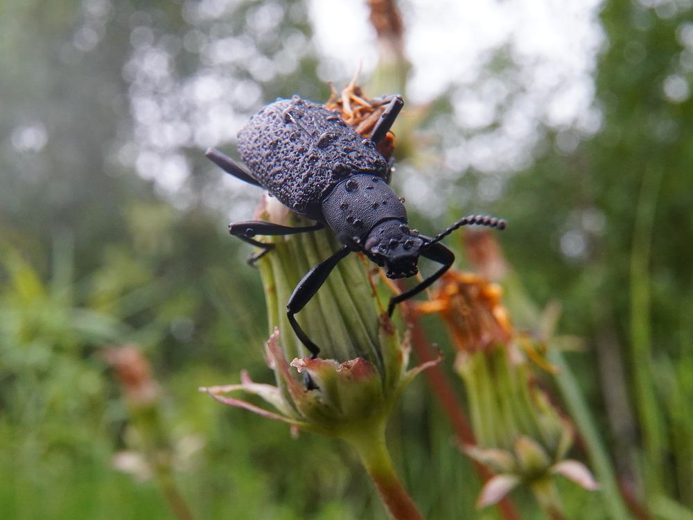 Photograph by Alexandr Klyuev