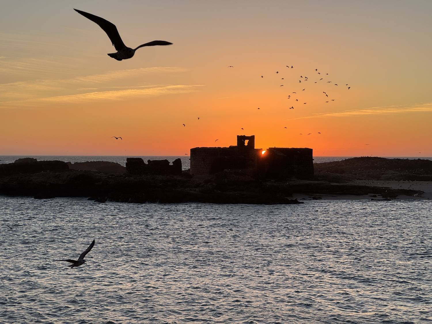 Фотография #13333264