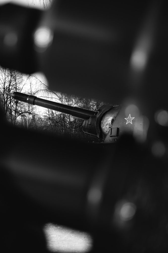 Photograph by Николай Гнедобор