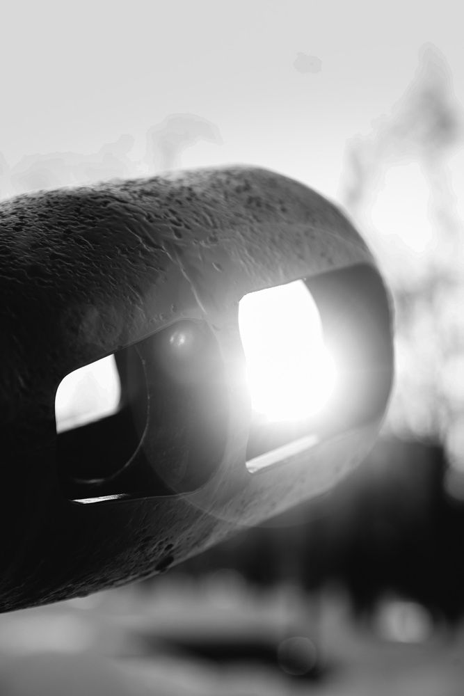 Photograph by Николай Гнедобор