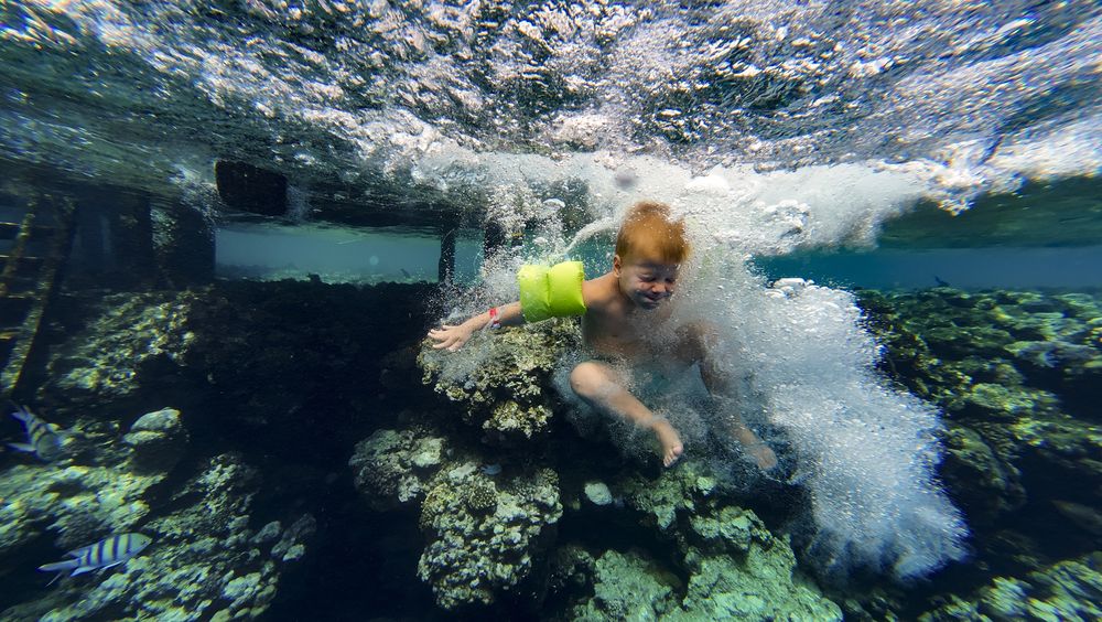 Photograph by Илья Ушак