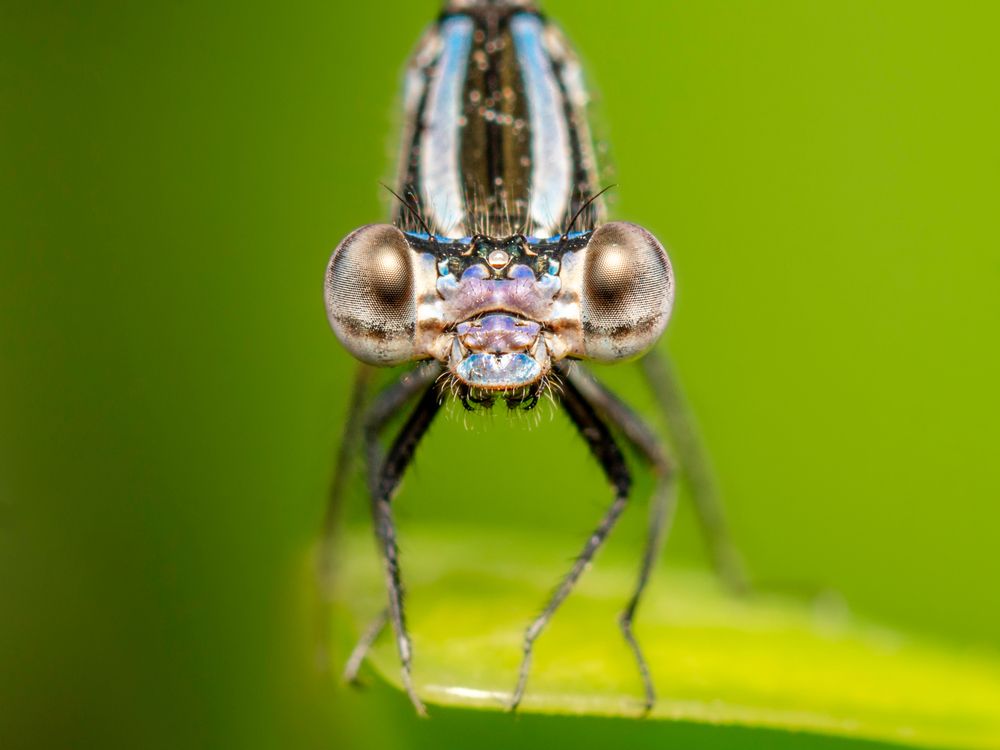 Photograph by Jose Martin Ceja Medina