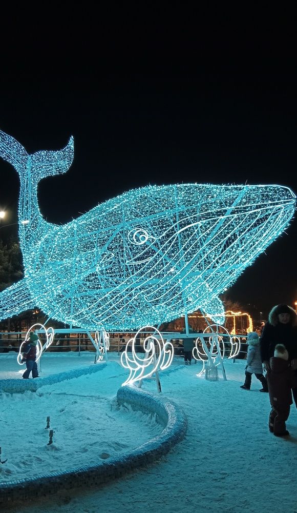 Photo #13333406