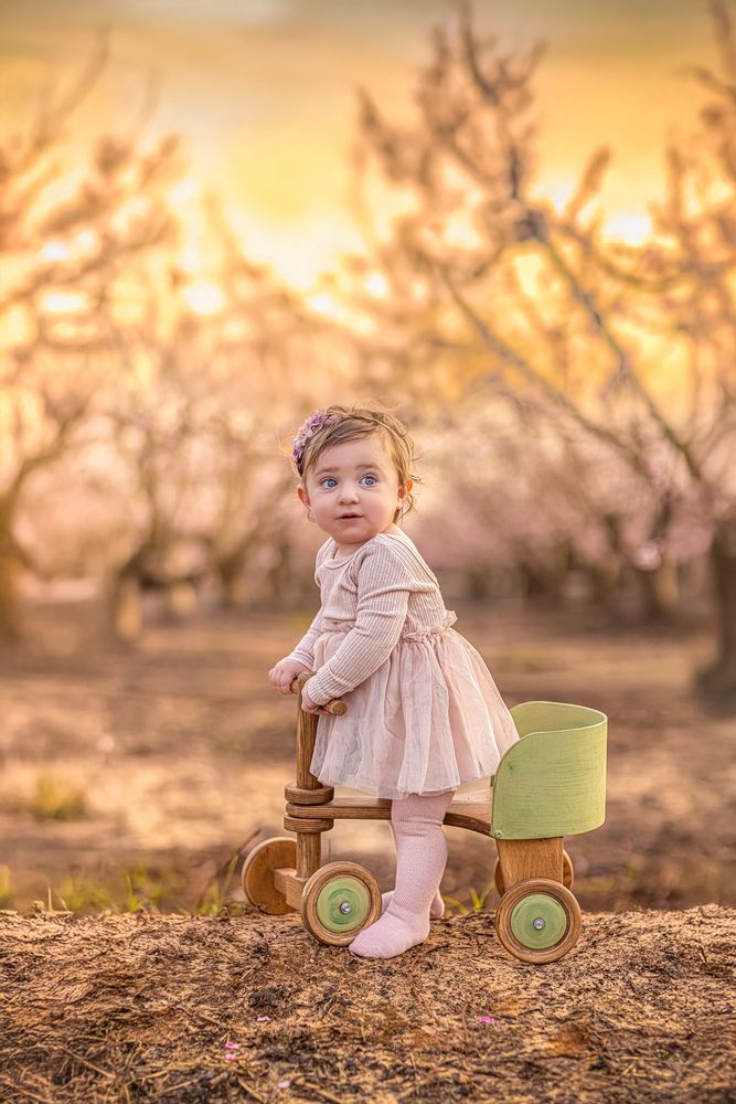 Фотография автора Lital Tzach Yona