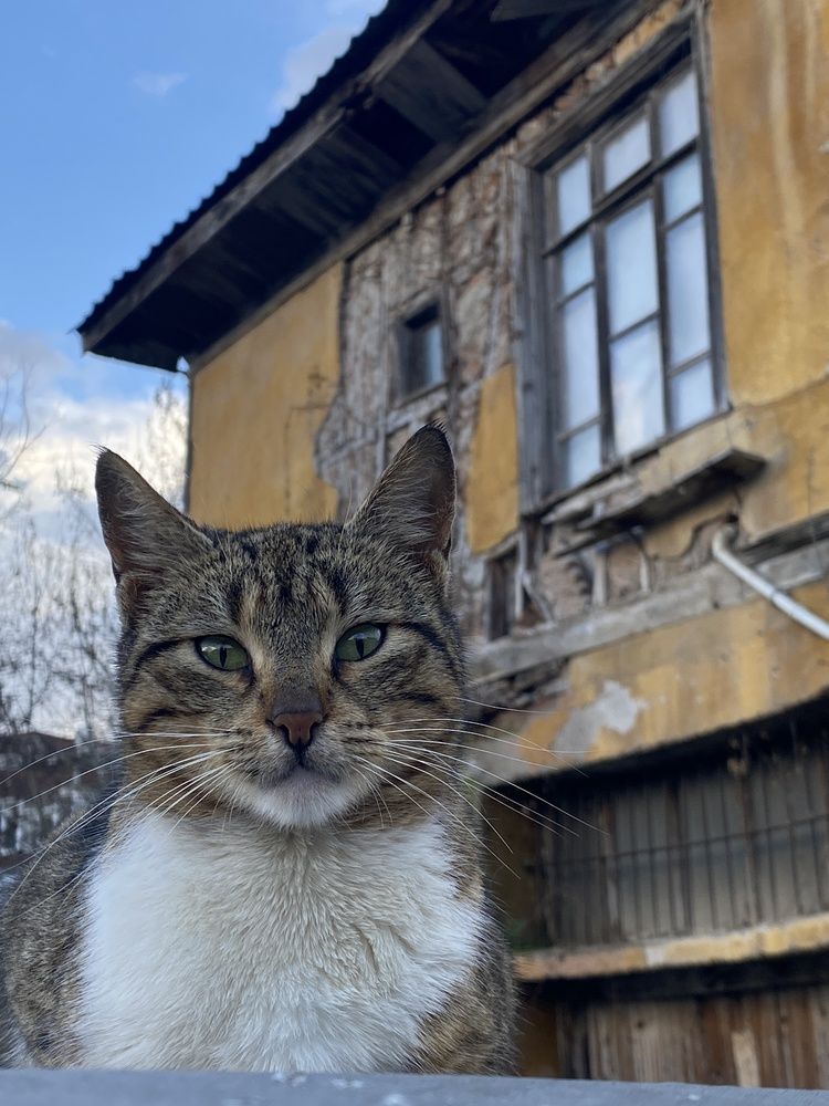 Photograph by riza yildirim
