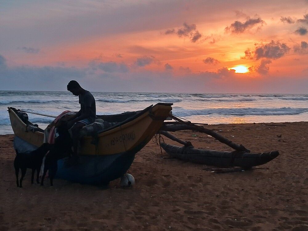 Фотография автора Manish K Joshi