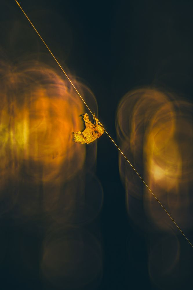 Photograph by Magda
