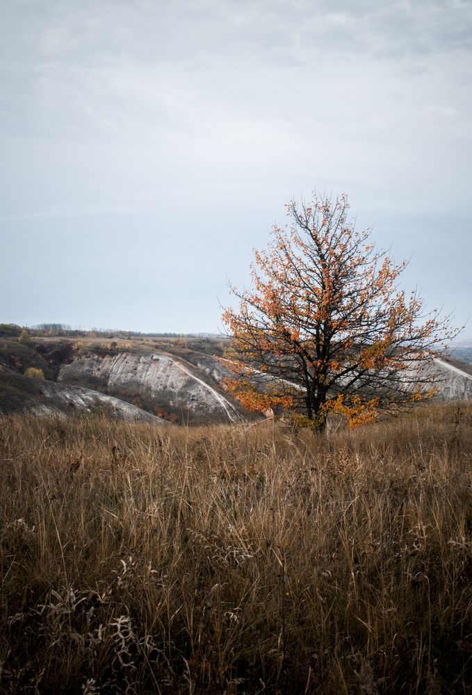 Осень
