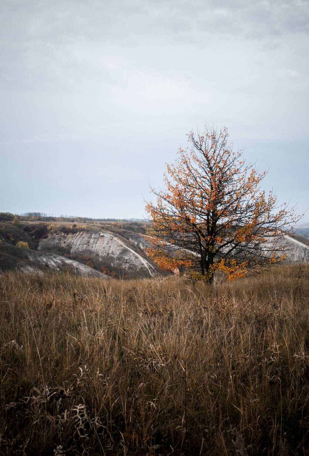 Осень