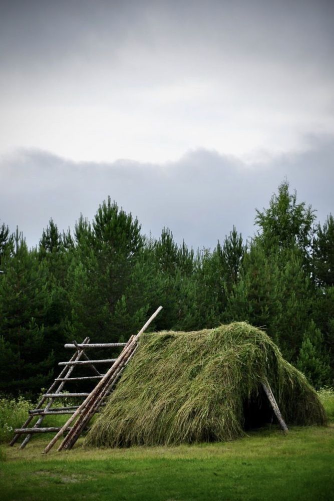Photograph by алексей михайлов