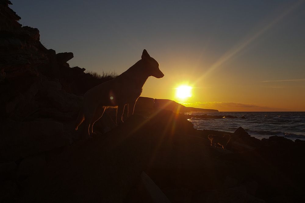 Photo #13333526