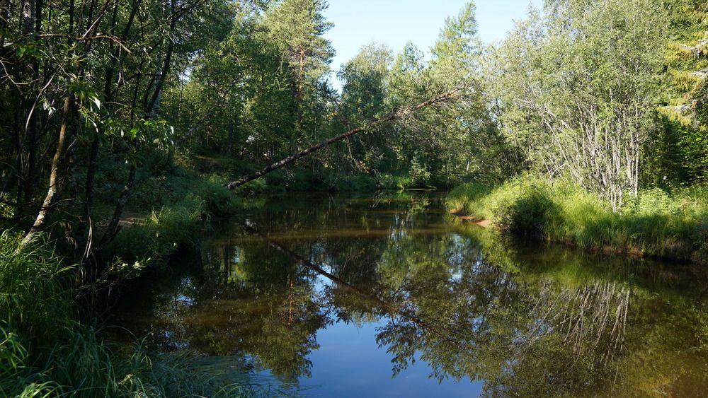 Photograph by Alexandr Klyuev