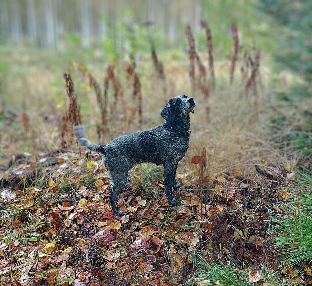 Photograph by Ирина Молоткова