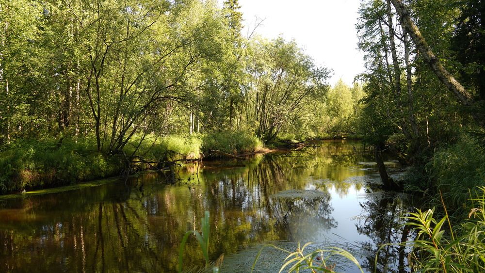 Photograph by Alexandr Klyuev