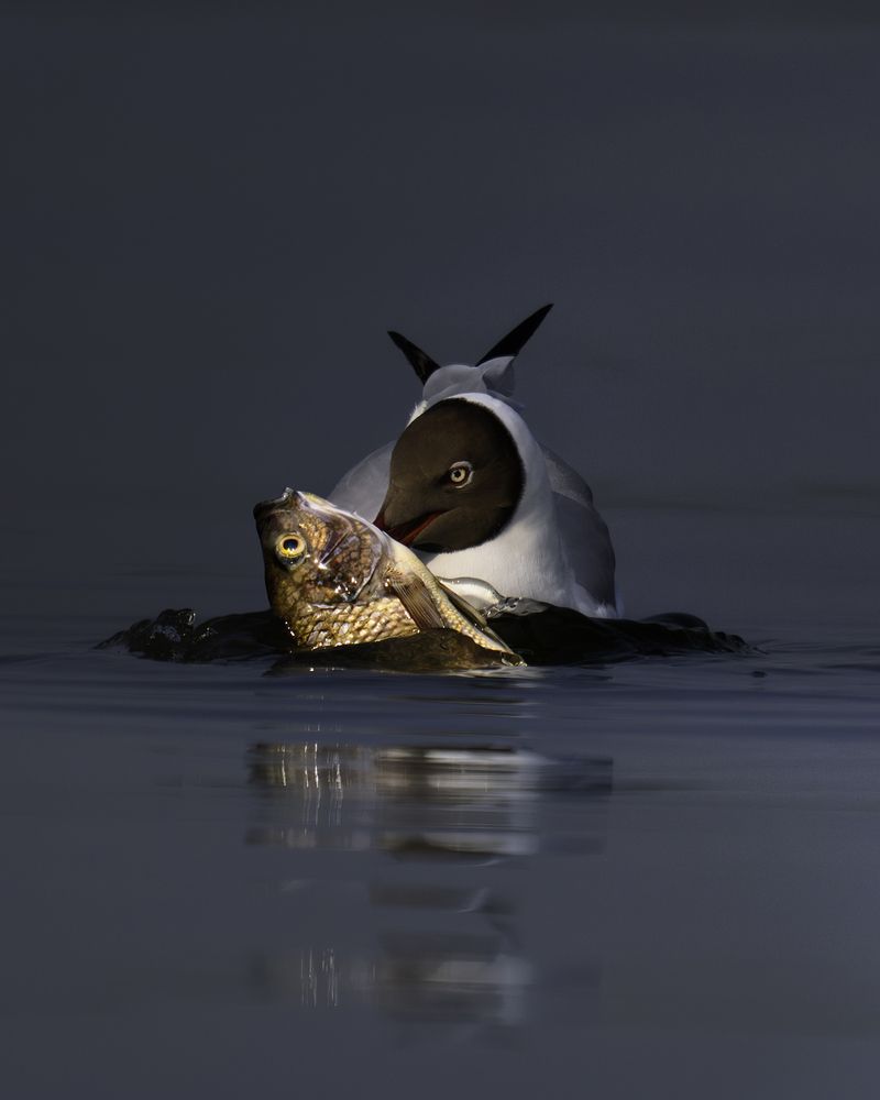 Photograph by madhur nangia