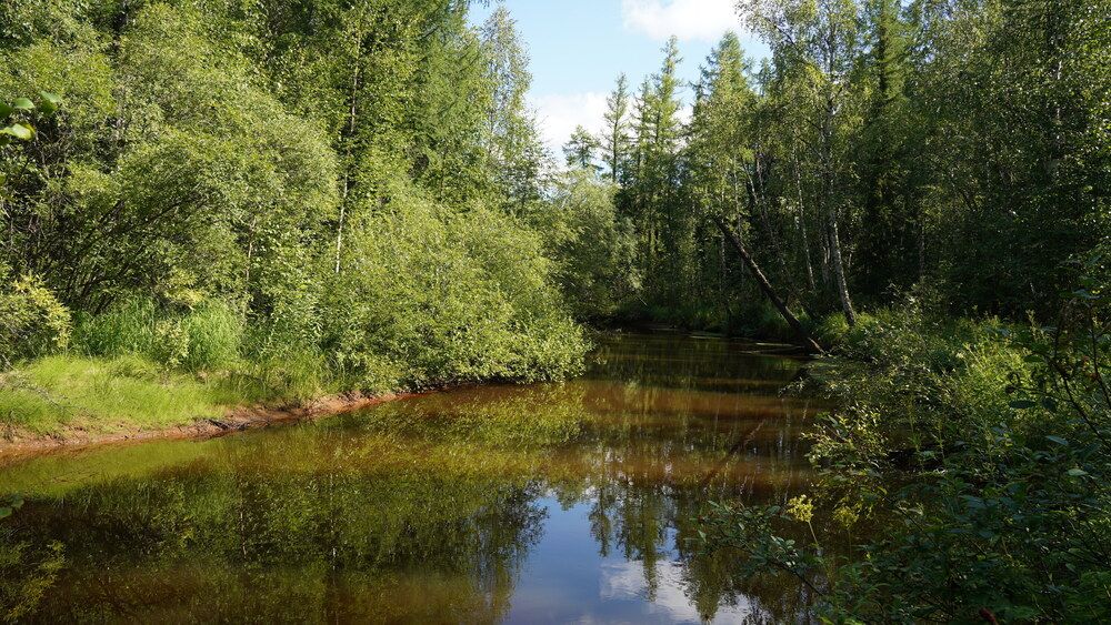 Photograph by Alexandr Klyuev