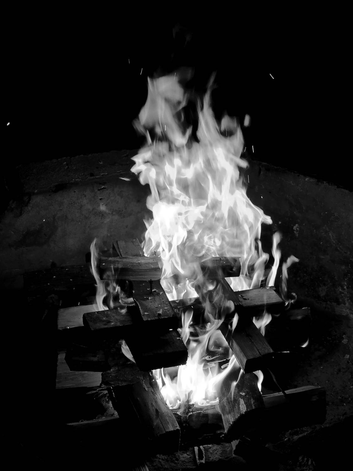 Фотография #13333753