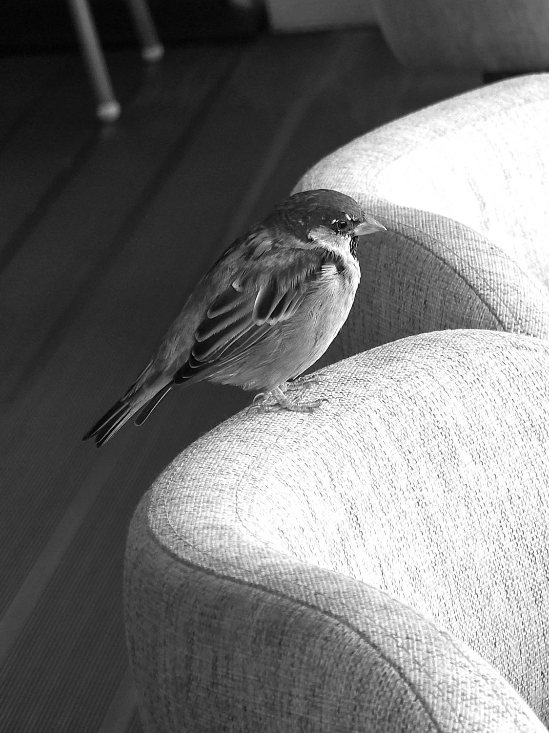 Фотография #13333799