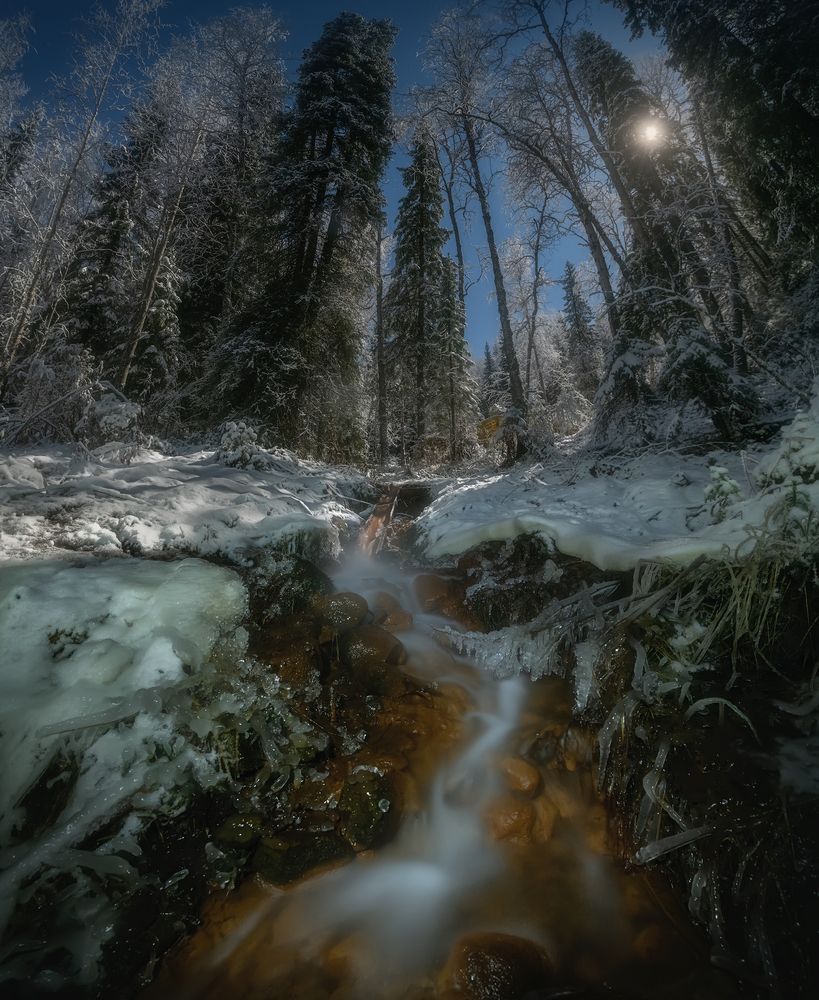 Photograph by Михаил Карпов