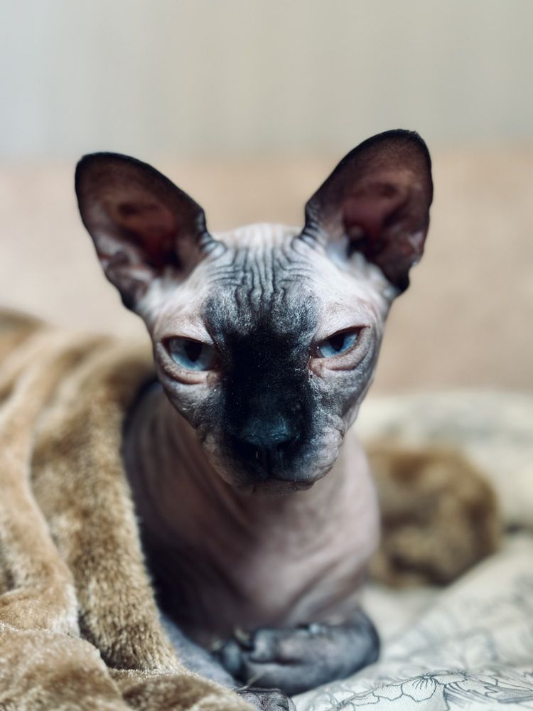 Фотография автора Мария Сущенко
