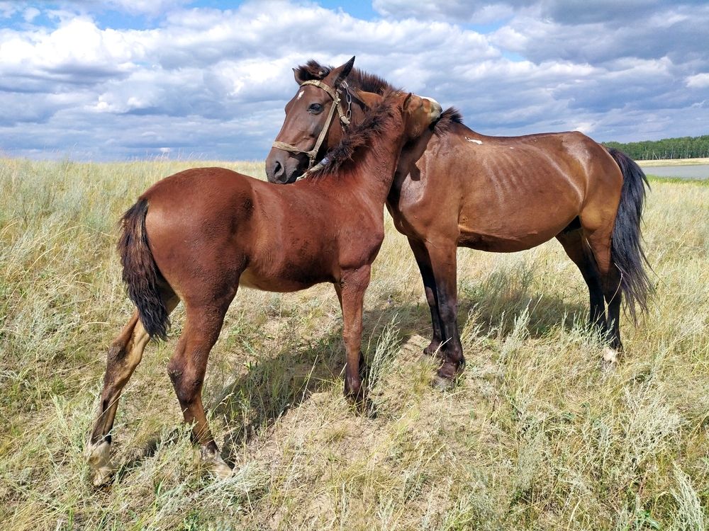 Photograph by Зыбин Владимир