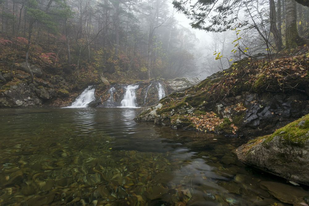 Фотография автора Кузнецов Александр