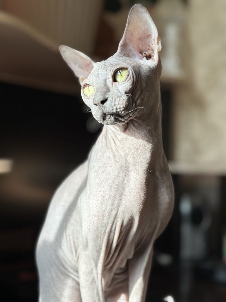 Фотография автора Мария Сущенко
