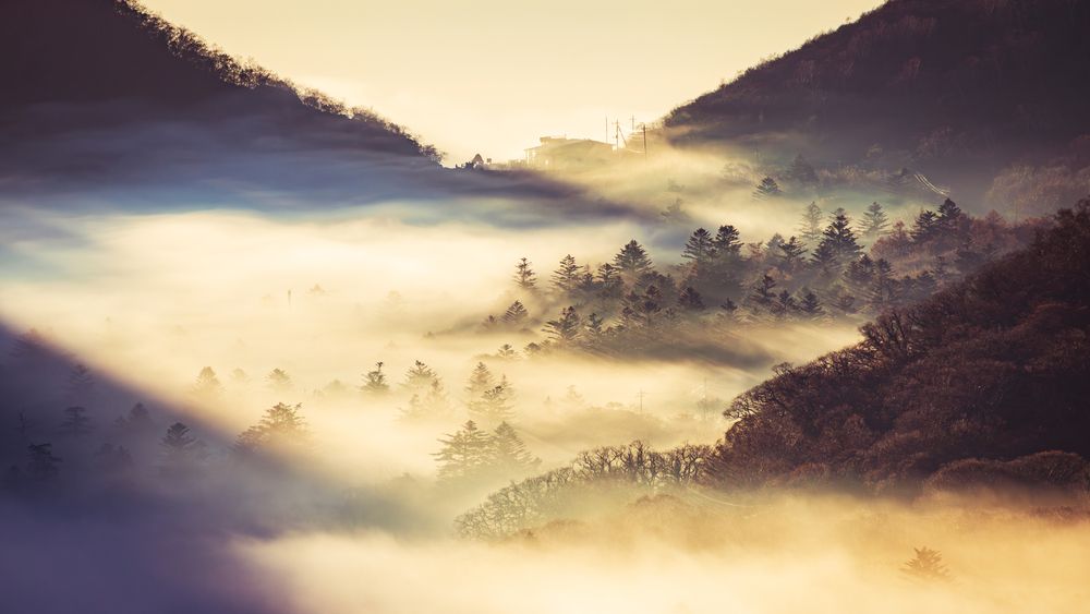 Mist Awakening
