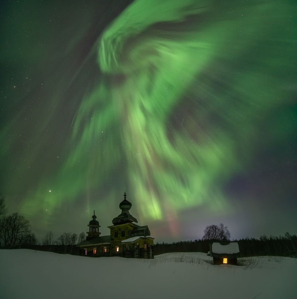 Раскинув крылья