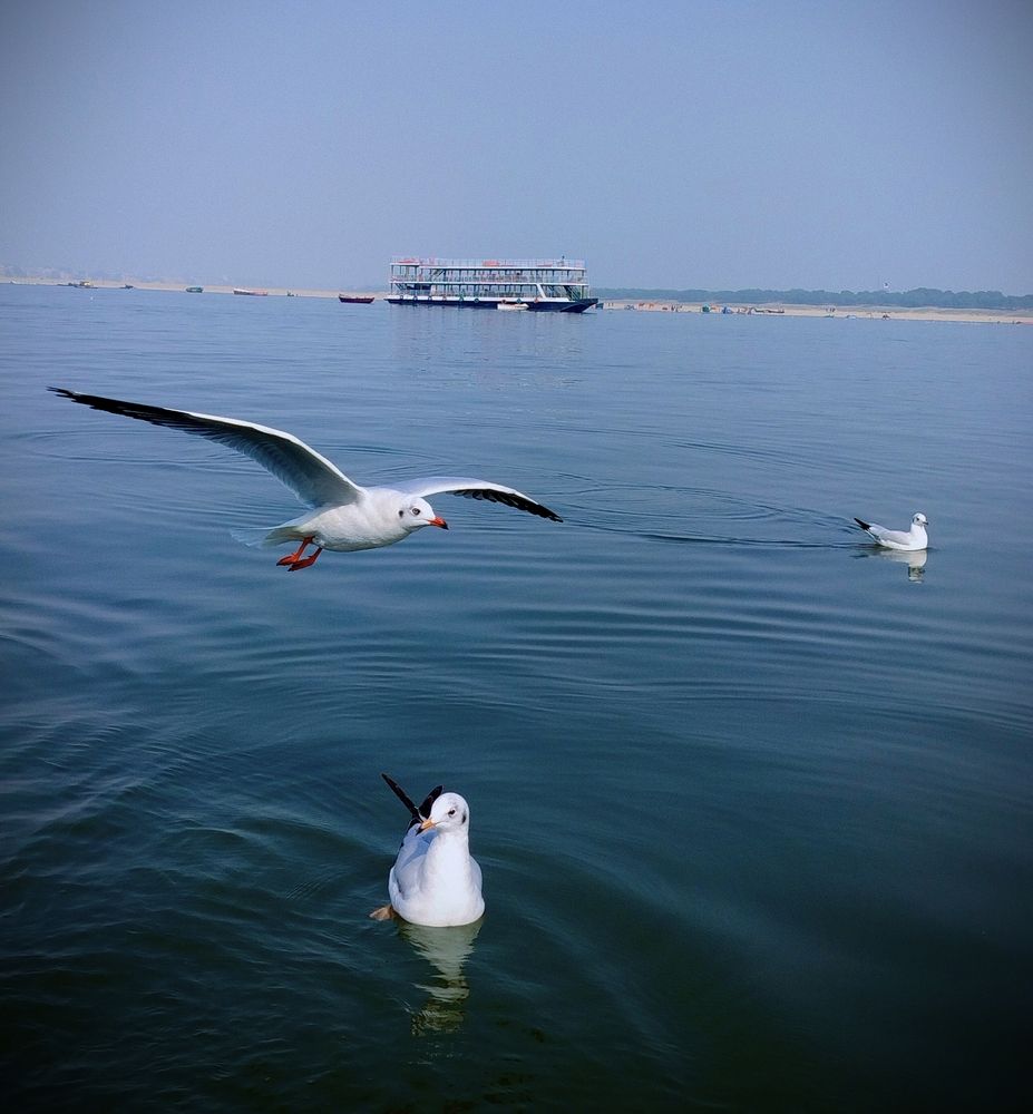 Photograph by Girish Singh