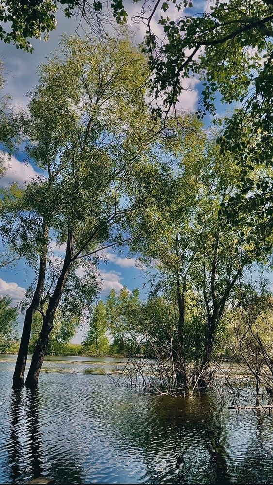 Вода вода