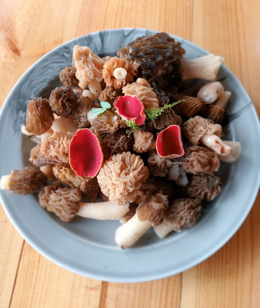 Весенний урожай