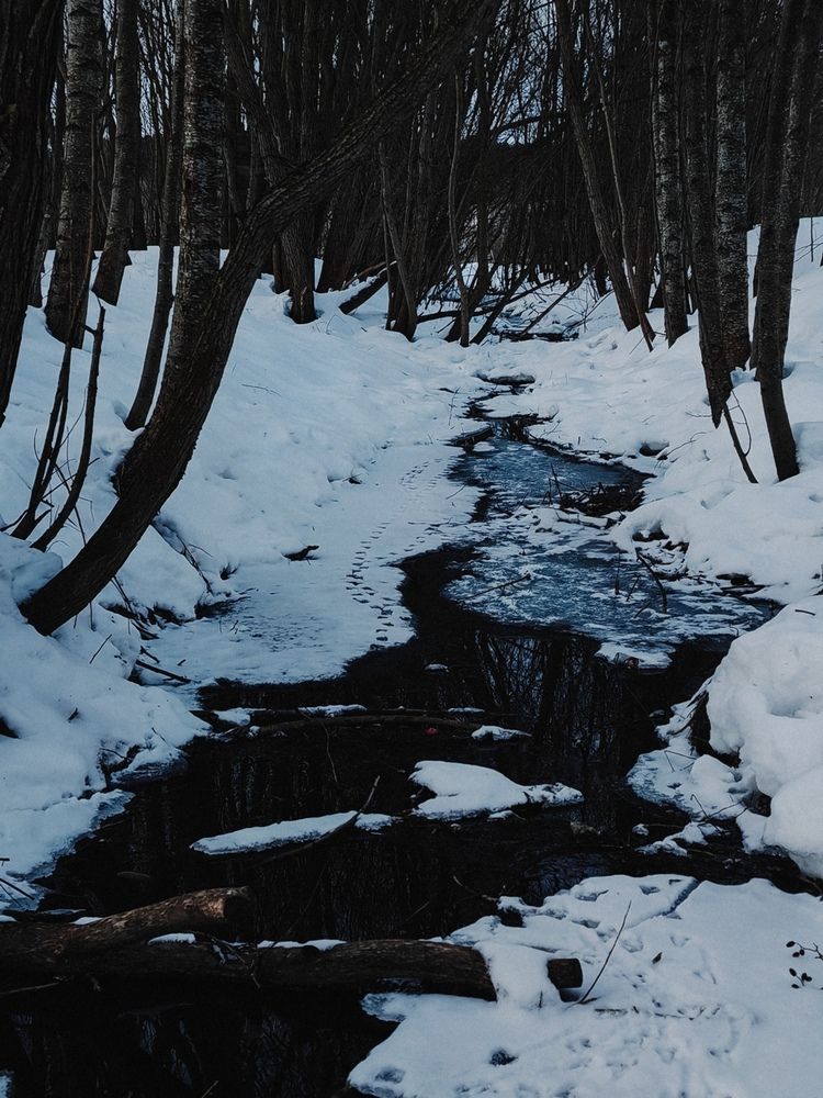 Photograph by Maria Stankevich