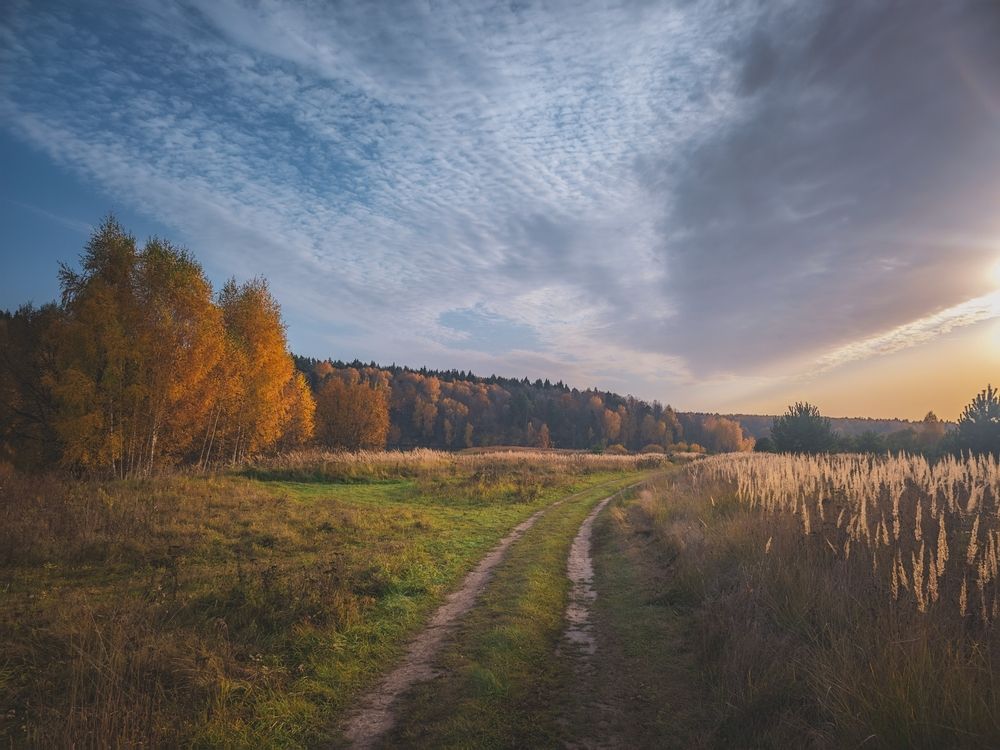 Photograph by Кирилл Сидоров