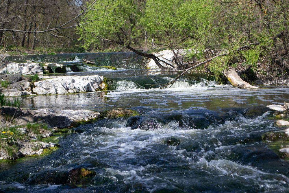 Photograph by Дмитрий Тютюнник