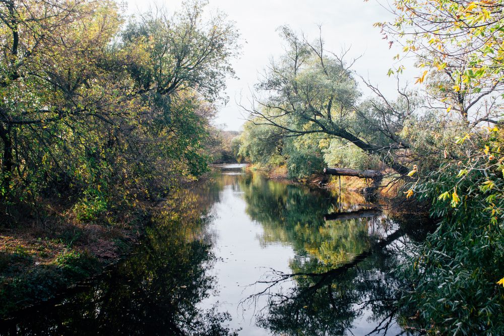 Photograph by Дмитрий Тютюнник