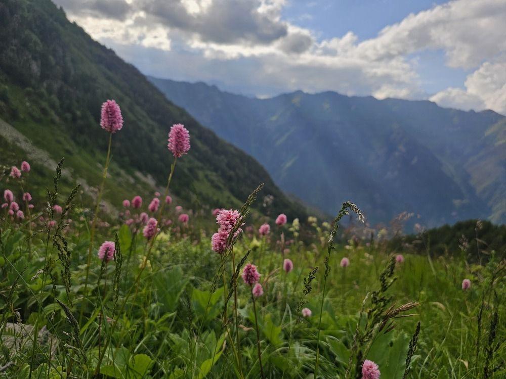 Photograph by Наталья Бурименко